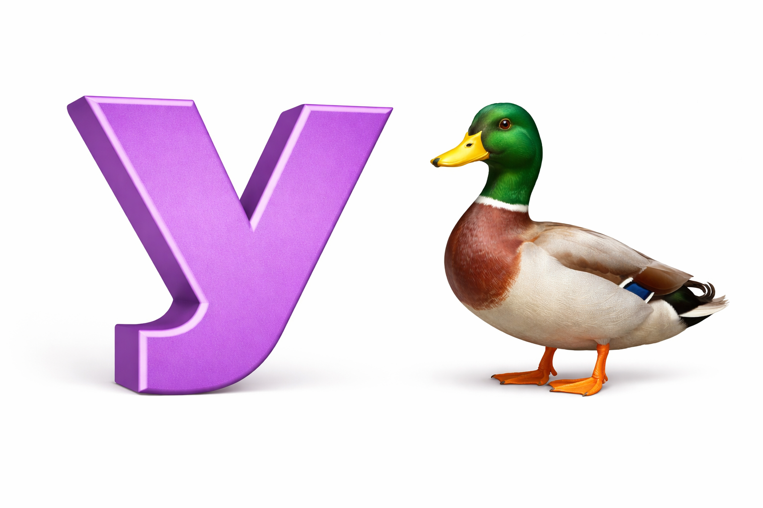 the letter U