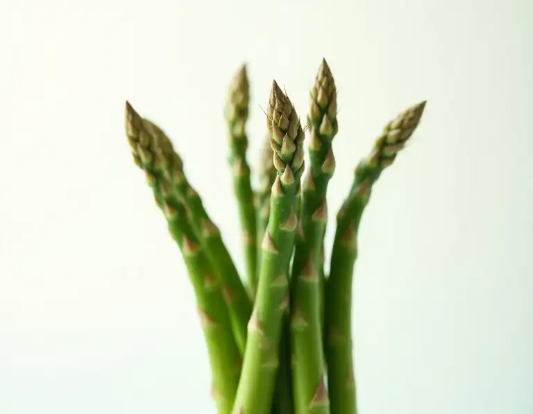 asparagus
