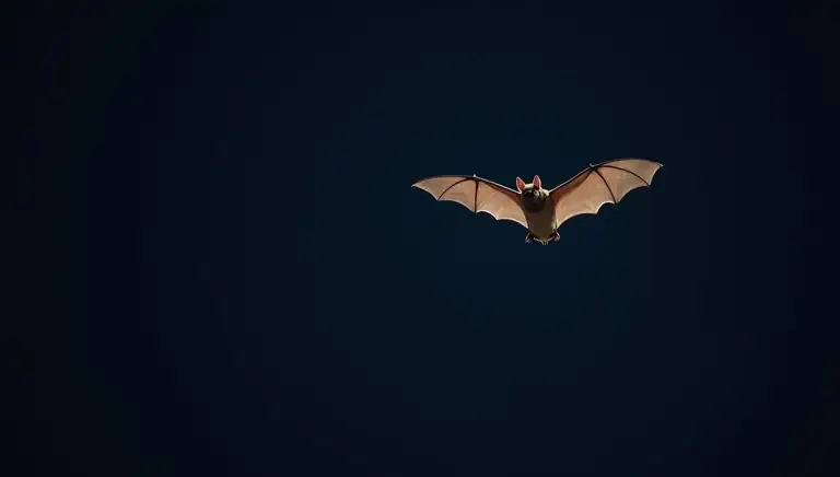 bat