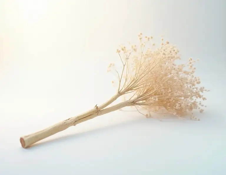 burdock root