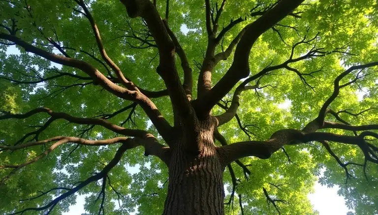 chestnut