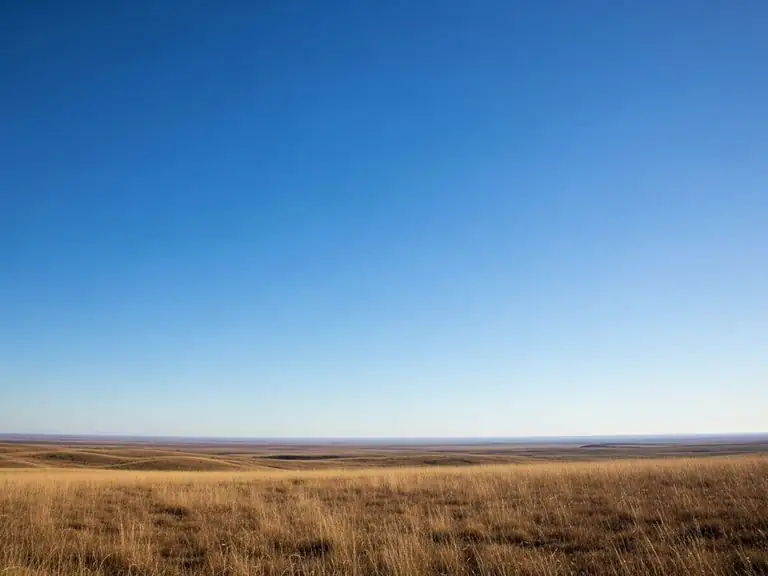 clear skies