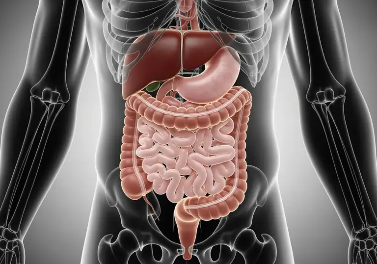 colon