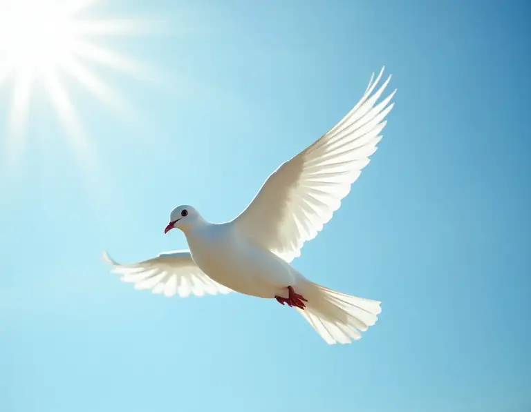 peace