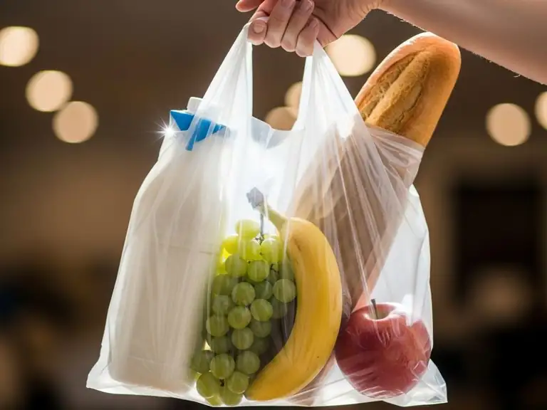 plastic shopping bag