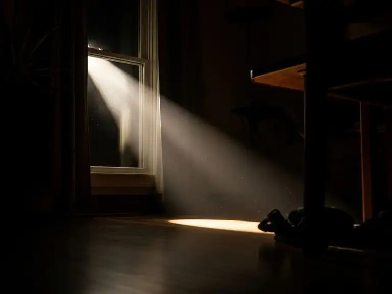 shine