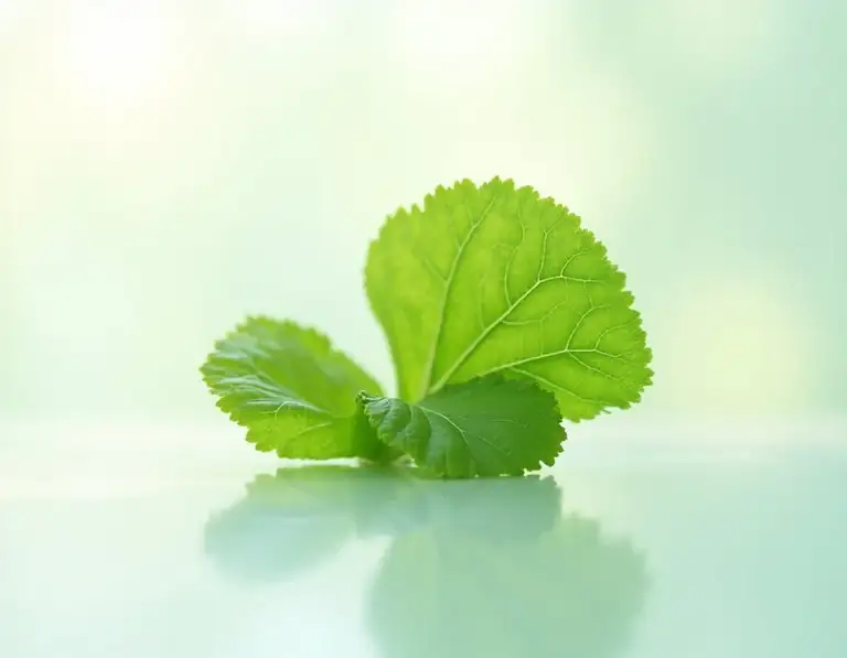 sorrel