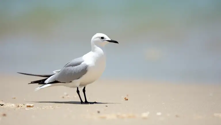 tern
