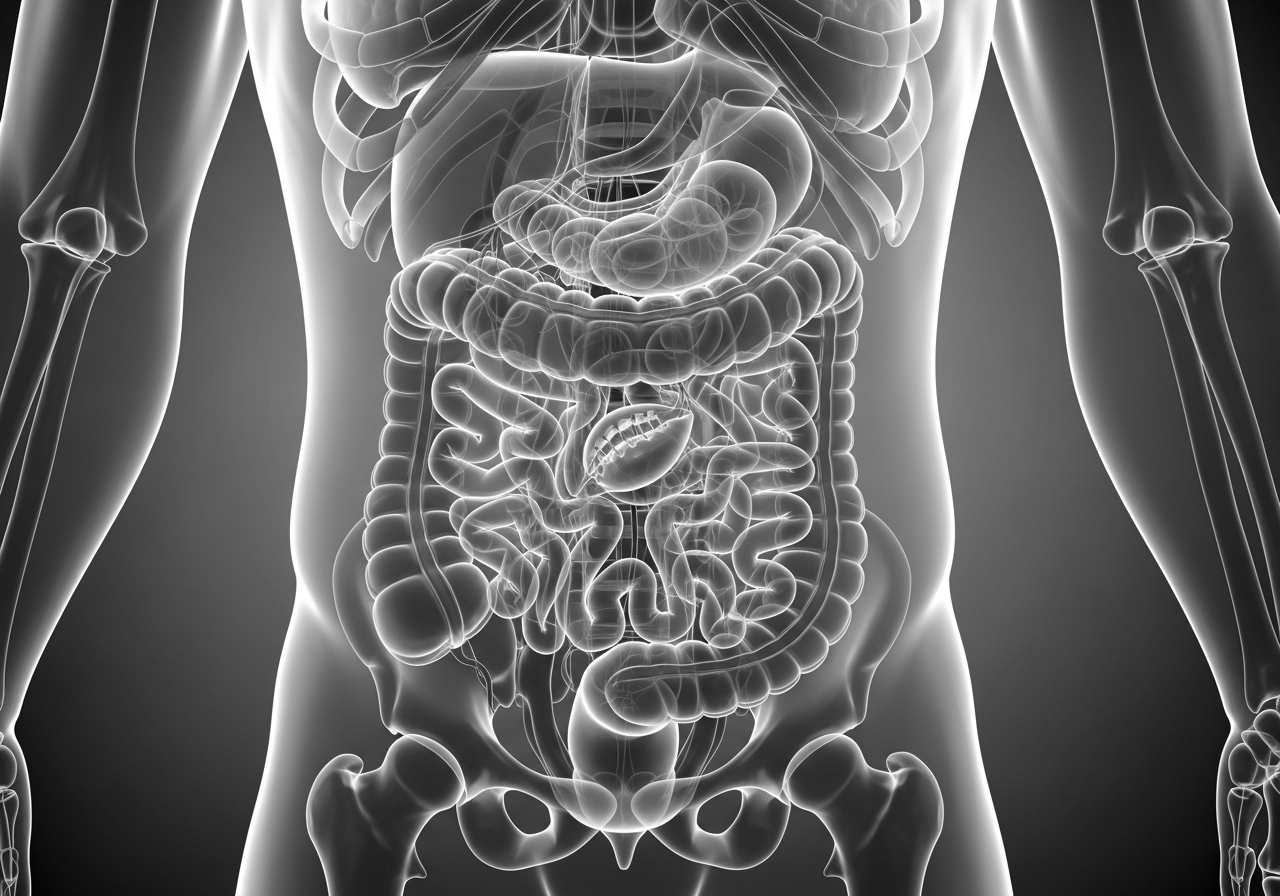 appendix