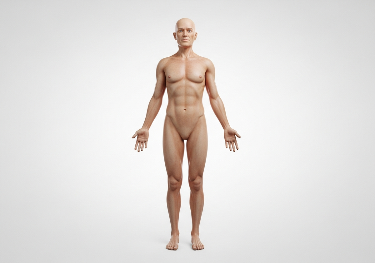 body