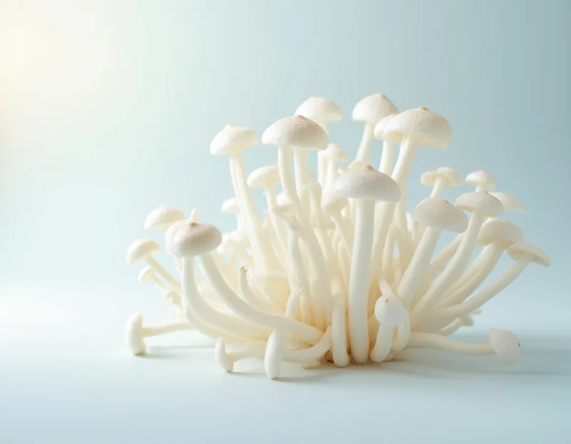 enoki