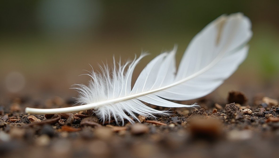 feather