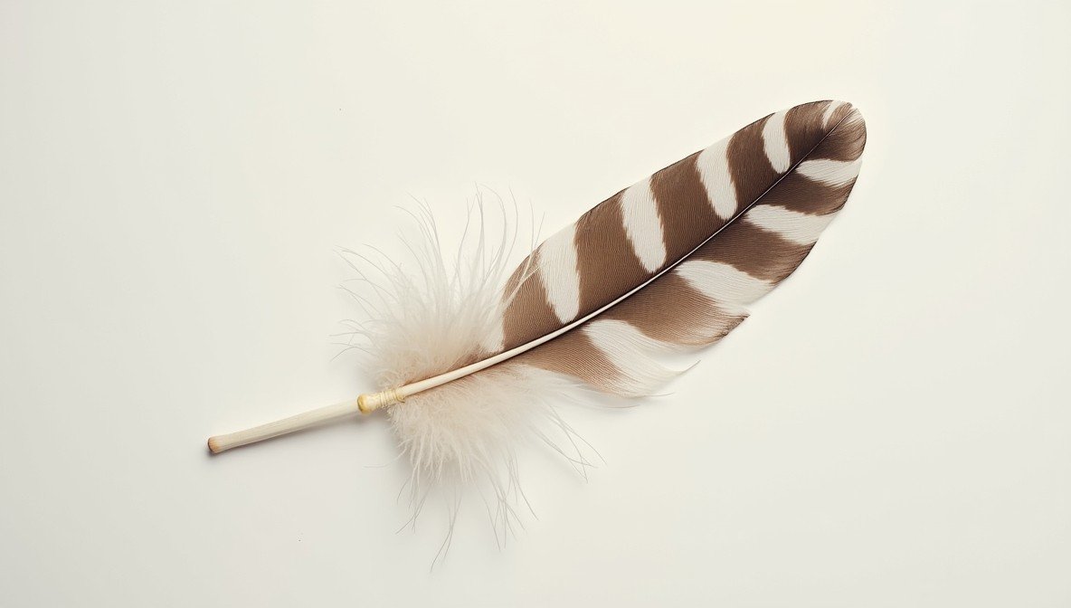 tail feather